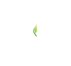 Revival