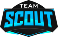 Team Scout