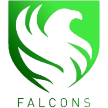 Team Falcons