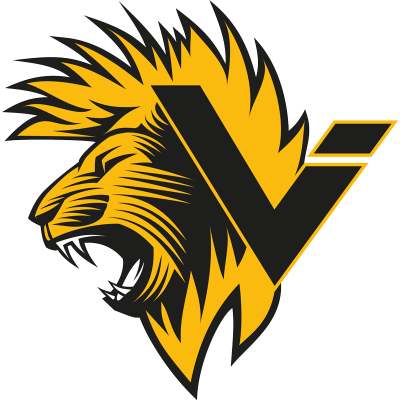 Vination eSports