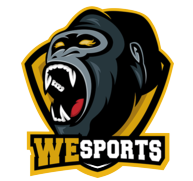 WeSports