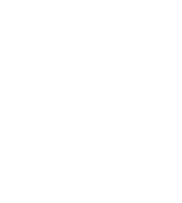 Tundra Esports (Dota 2)