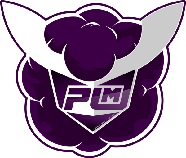 Purple Mood E-Sport