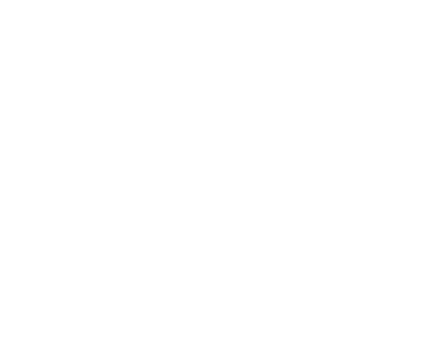 Team Eleventy