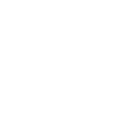 Zino Alpha