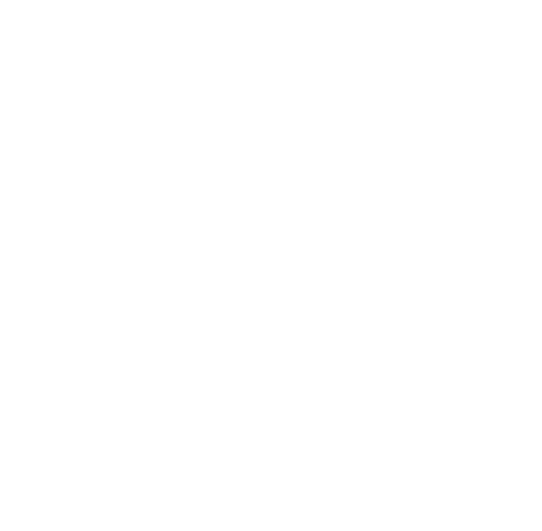 Team Vikings logo