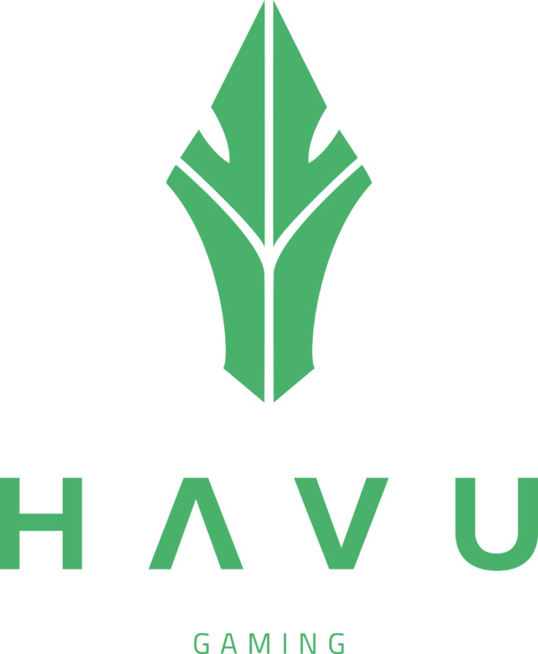 HAVU Gaming