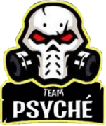 Team Psyche