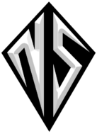 Team NS