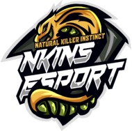 Nkins Esports
