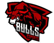 Bulls Esports