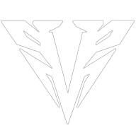 Vanguard Esports