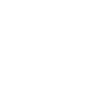 Team Bosuul