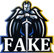 FAKE Team