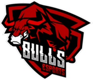 Bulls Chaos