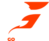 GO Esports
