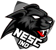 NESC Esports