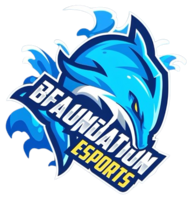 Bfaundation Esports