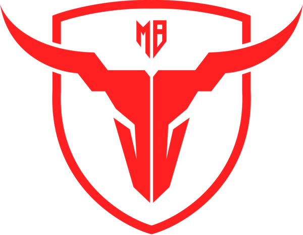 MadBulls logo