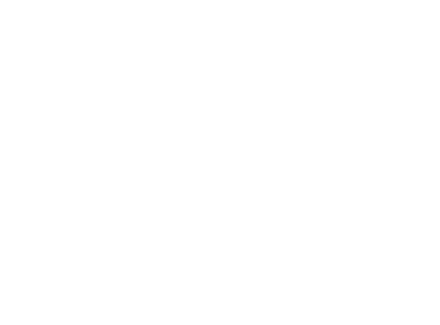 Americas Intermediate Racers logo