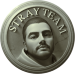Stray Team