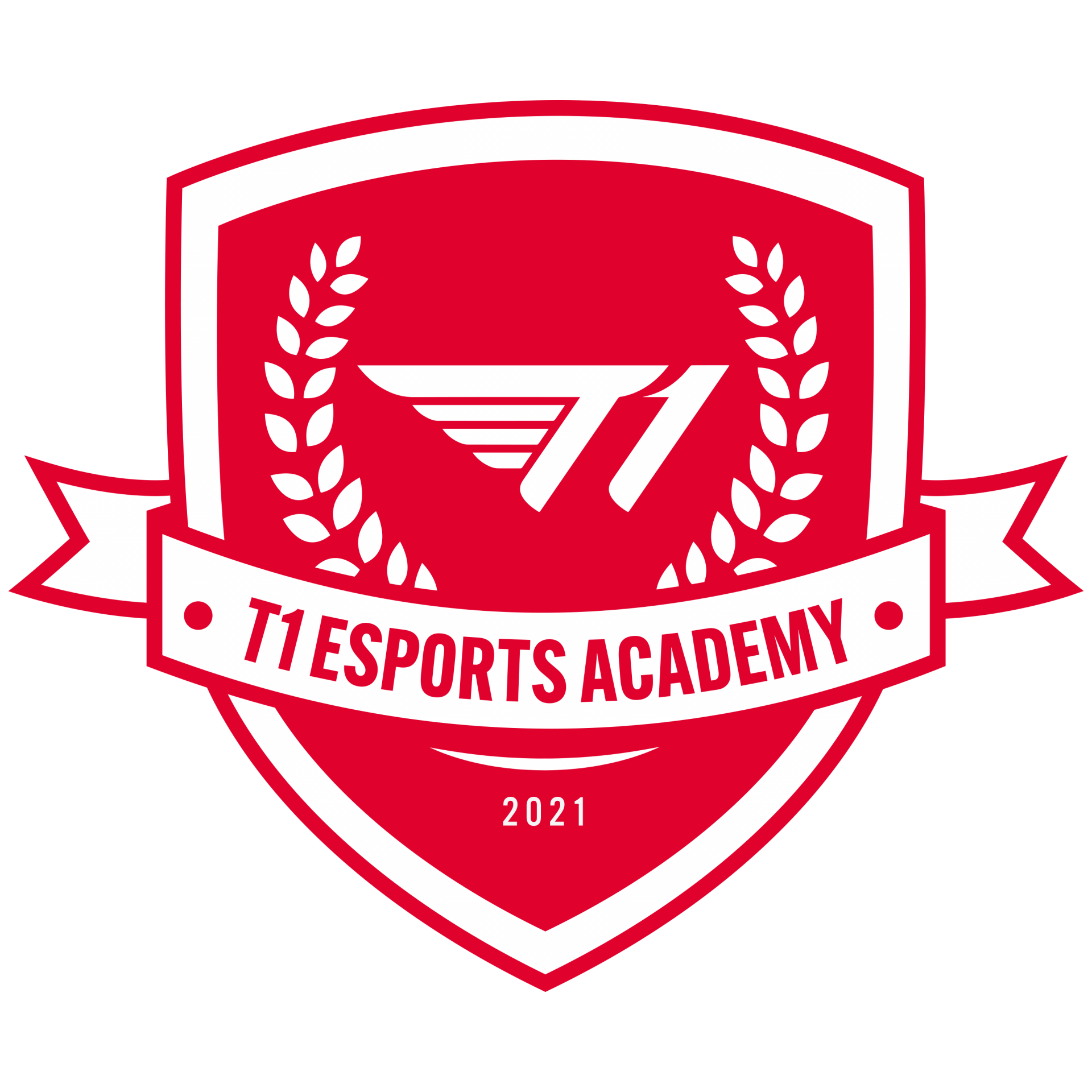 T1 Esports Academy