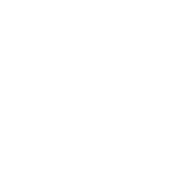 Team By Owl
