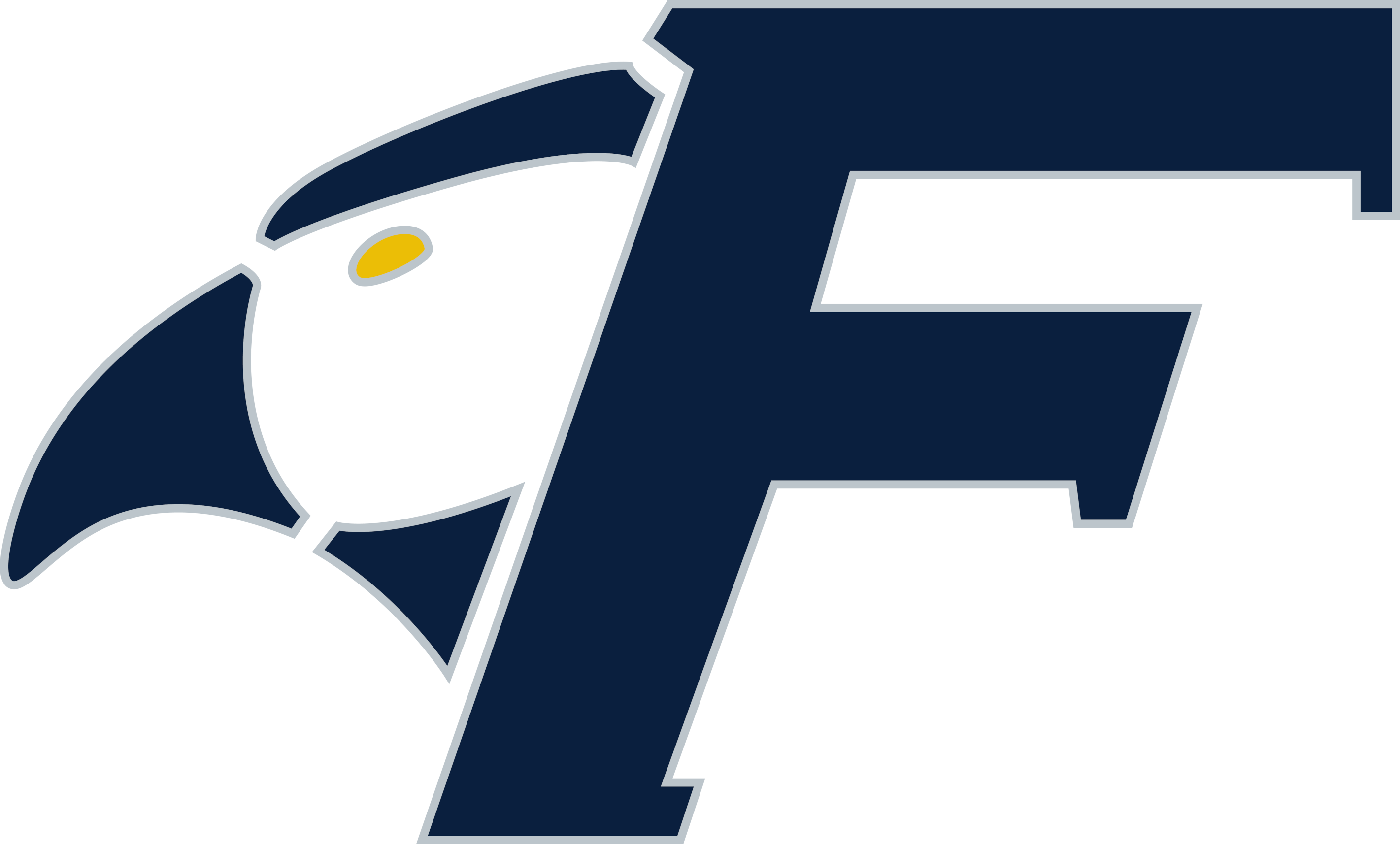 Fisher College Falcons