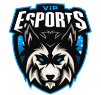 ViP Esports