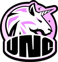 Team Unicorn