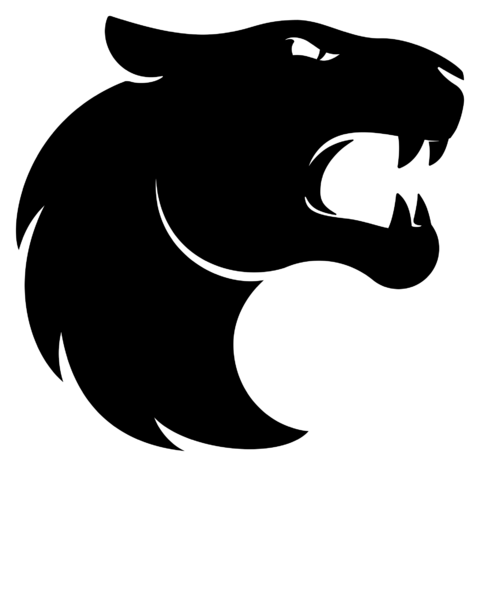 FURIA Female logo