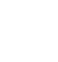 MIR logo