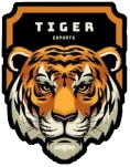 Tiger Esports
