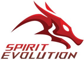 Spirit Evolution