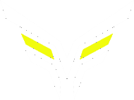 Vicious Esports