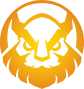 Vikings Esports Academy