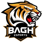 Bagh Esports