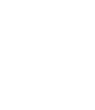Team VIP