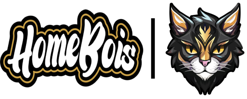 HomeBois x Maqna Esports