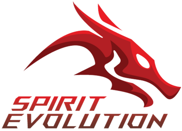 Spirit Evolution