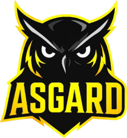 Asgard Esports