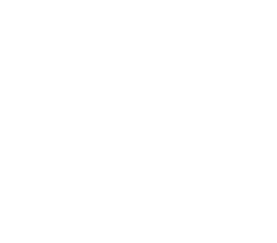 Void Esports logo