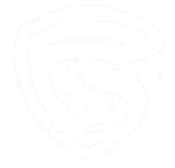 VRZ Esports