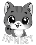 Привет