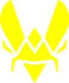 Team Vitality logo