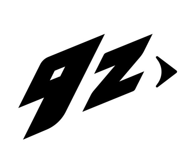 9z Team logo