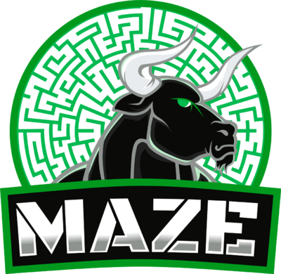 Maze Gaming Academy