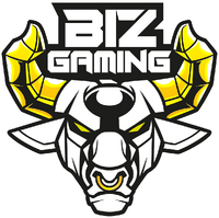 Biz Gaming