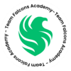 Falcons Academy