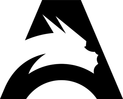 Team Spirit Academy Black
